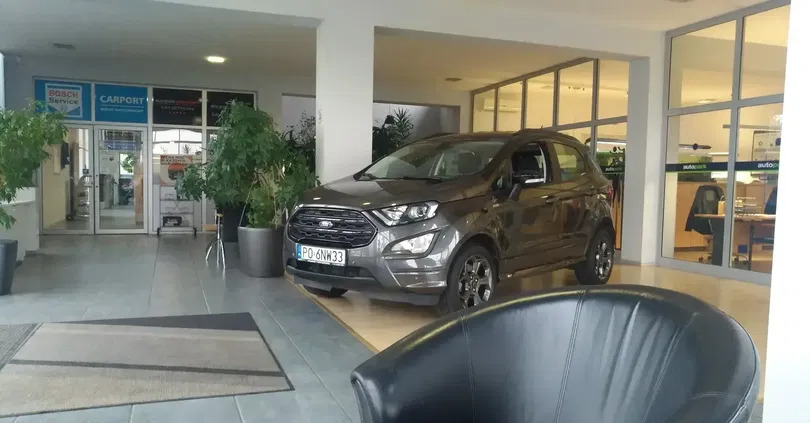 opole lubelskie Ford EcoSport cena 71900 przebieg: 28114, rok produkcji 2019 z Opole Lubelskie